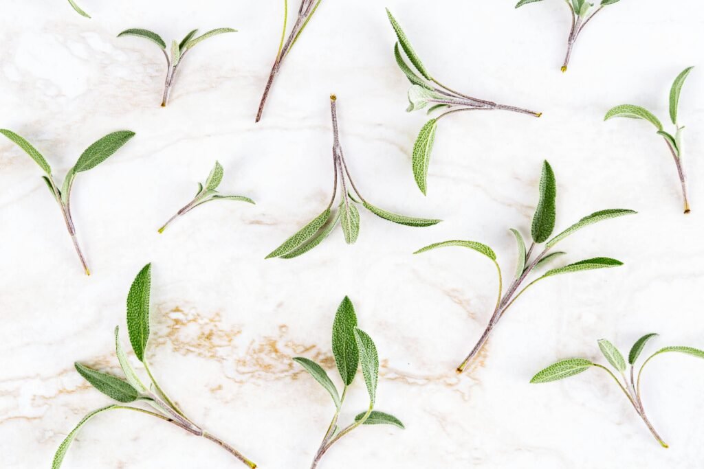 Scattered sage leaves on a marble surface for culinary and herbal themes.